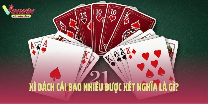 Xì dách cái bao nhiêu được xét nghĩa là gì?