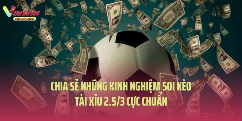 Cao thủ Vinwin chia sẻ những kinh nghiệm soi kèo tài xỉu 2.5/3 cực chuẩn